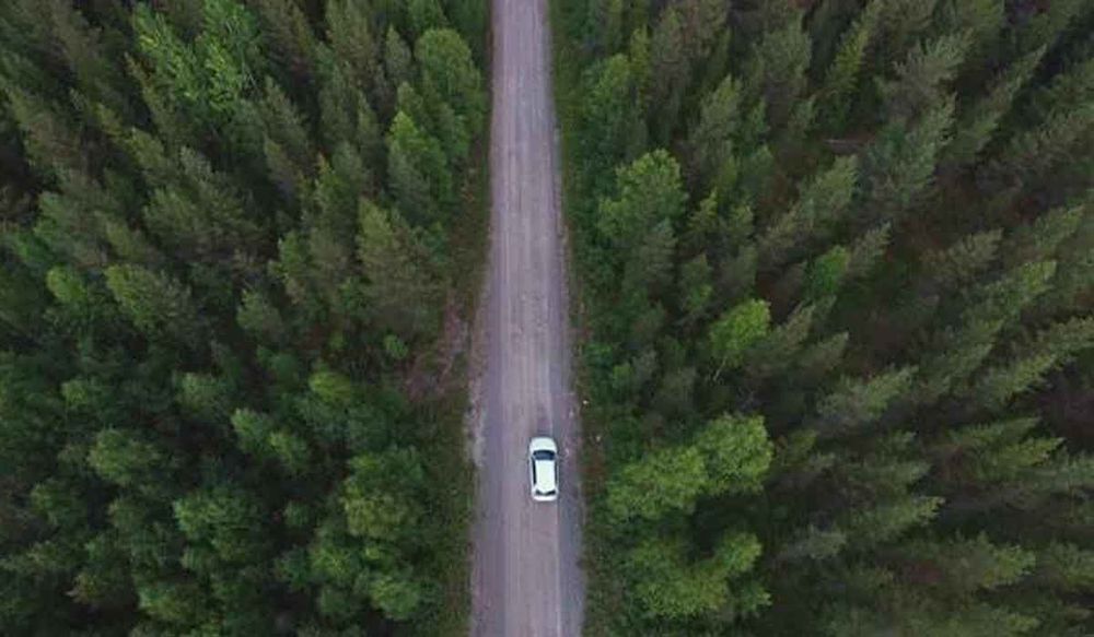 रेगिस्तान को रोकने के लिए गुजरात से दिल्ली तक बनेगी 1,400 किलोमीटर लंबी 'ग्रीन वॉल ऑफ इंडिया'