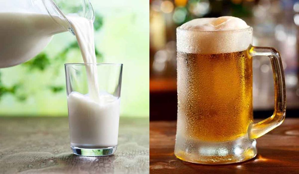 PETA का दावा: दूध से ज्यादा बियर पीना होगा आपके स्वास्थ्य के लिए लाभकारी