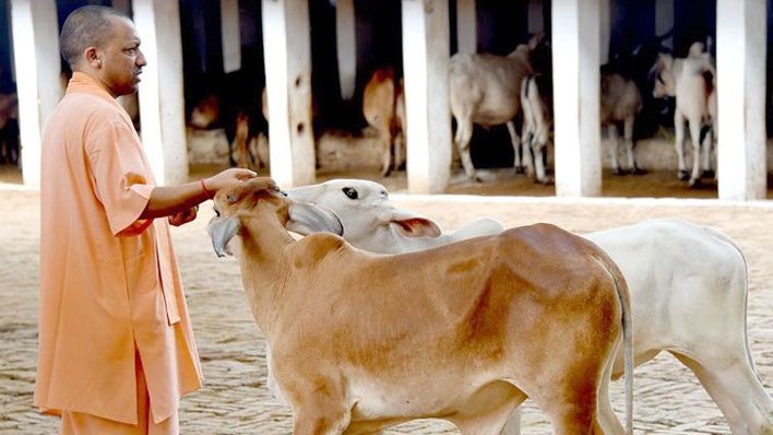 लिंचिंग रोकने के लिए योगी का फैसला, गाय को कहीं ले जाने के लिए गौ सेवा आयोग से लेना होगा प्रमाणपत्र