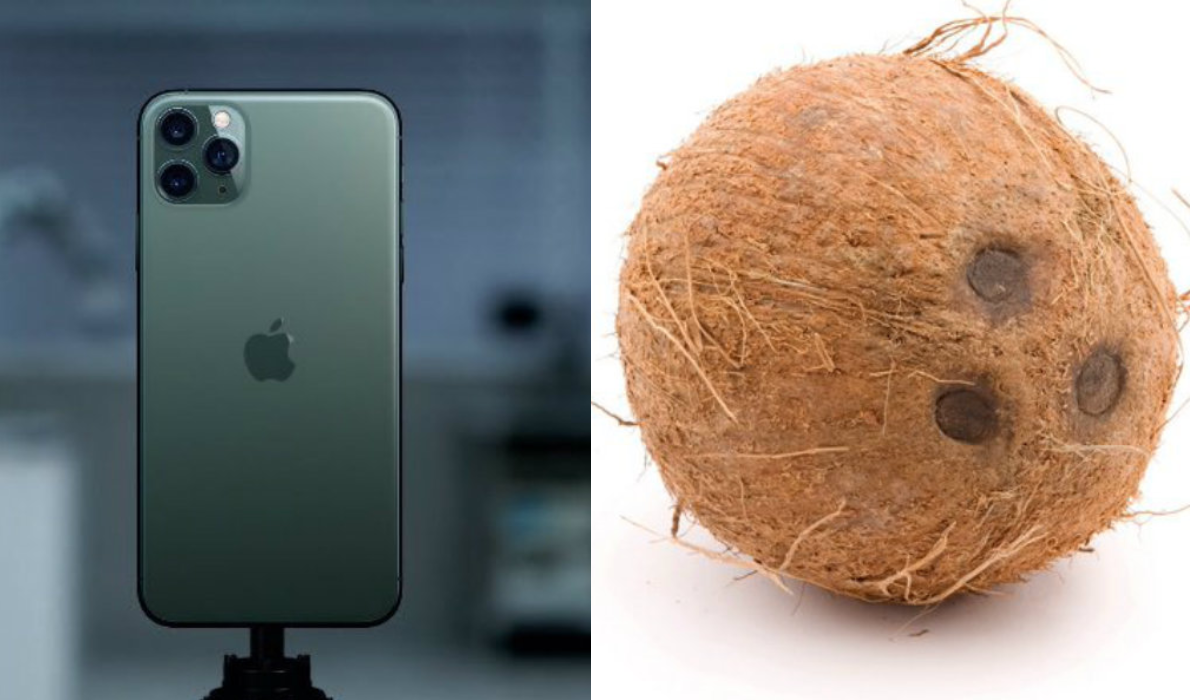 एप्पल ने लांच किया iPhone 11, लोगों ने बनाये कई मजेदार मीम्स और की नारियल से तुलना