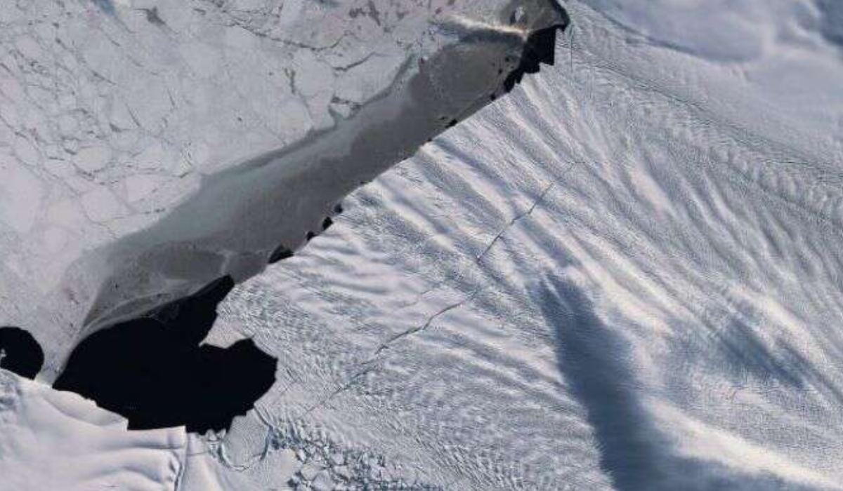 दुनिया पर मंडरा रहा है बड़ा खतरा, अंटार्कटिका में 20 किलोमीटर लंबी दरार से मचा हड़कंप