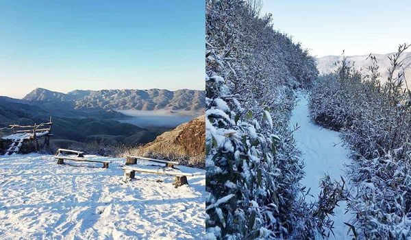 जहाँ पिछले 36 साल से नहीं पड़ी थी बर्फ उस पूर्वोत्तर राज्य नागालैंड में इस बार हुई जमकर बर्फबारी